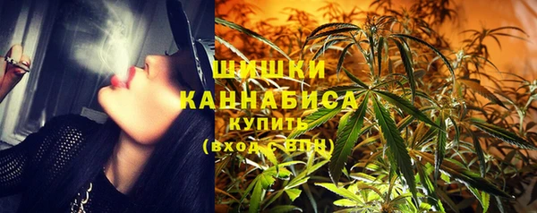 дурь Няндома
