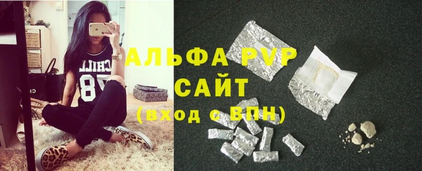 шишки Нязепетровск